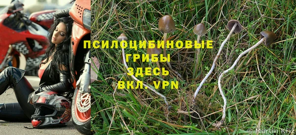 тгк Алексин